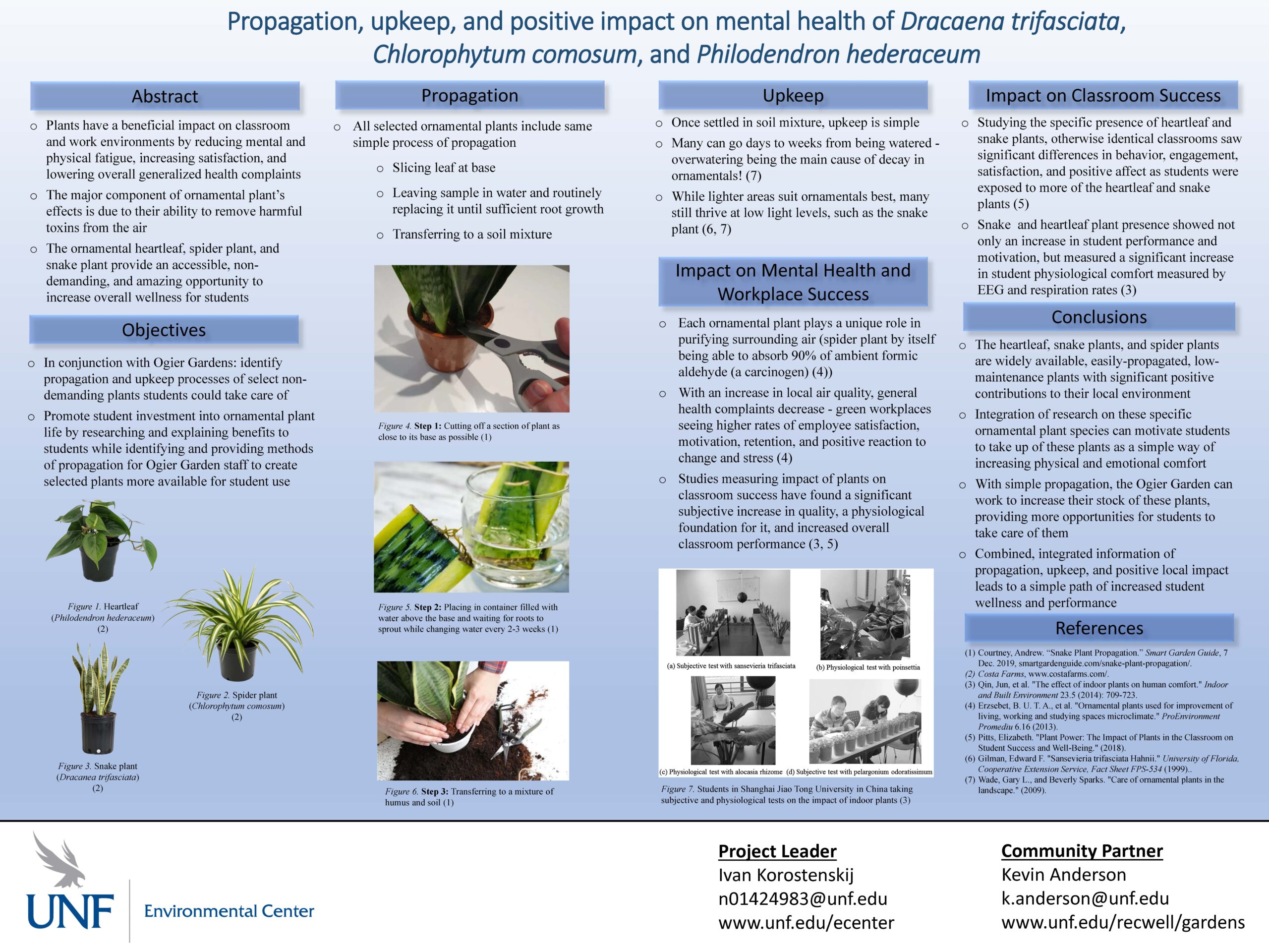 Propagation, upkeep, and positive impact on mental health of Dracaena trifasciata, Chlorophytum comosum, and Philodendron hederaceum